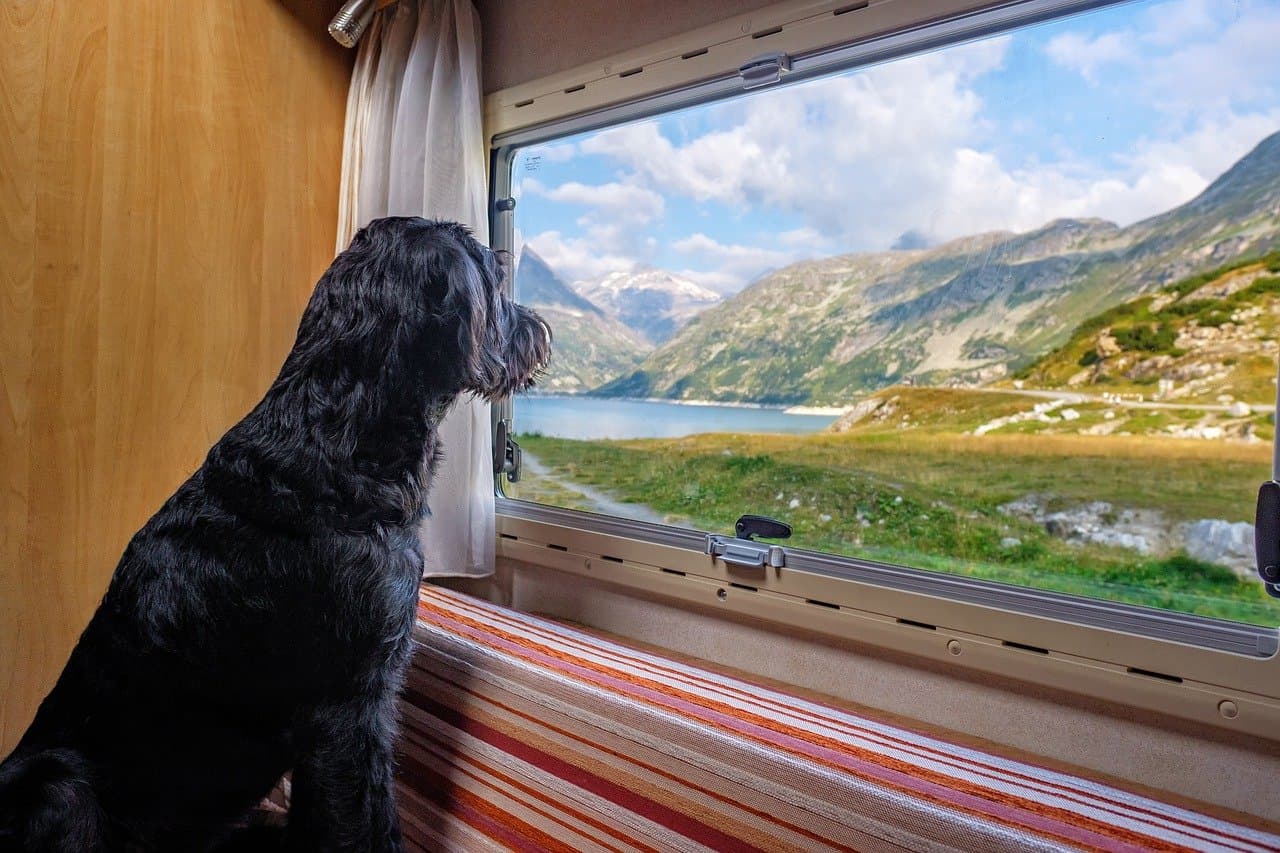 Camping & Caravan Travel Statistics 2026: UK Trips, Spending & Trends