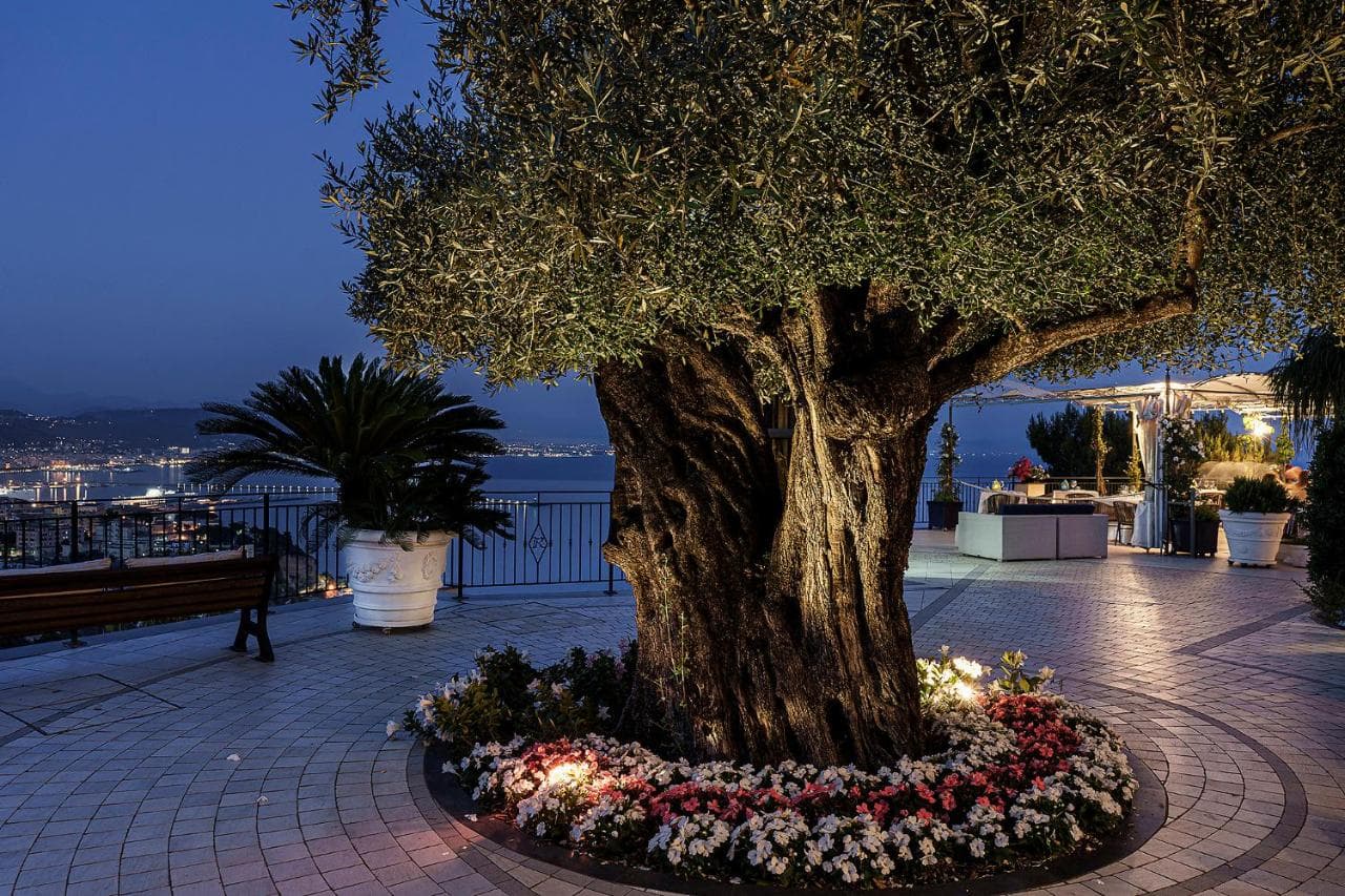 Hotel Raito view 6
