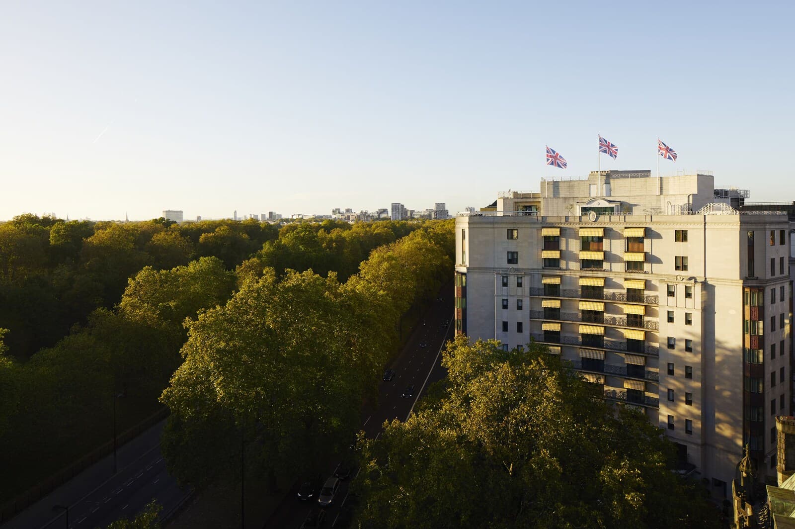 The Dorchester – photo 6