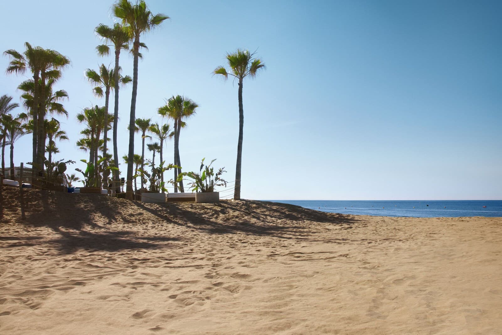 Don Carlos Marbella – photo 7