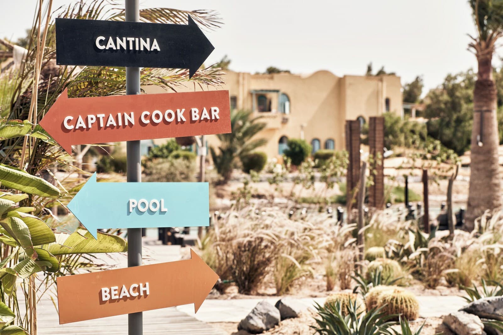 Cook's Club El Gouna – photo 4