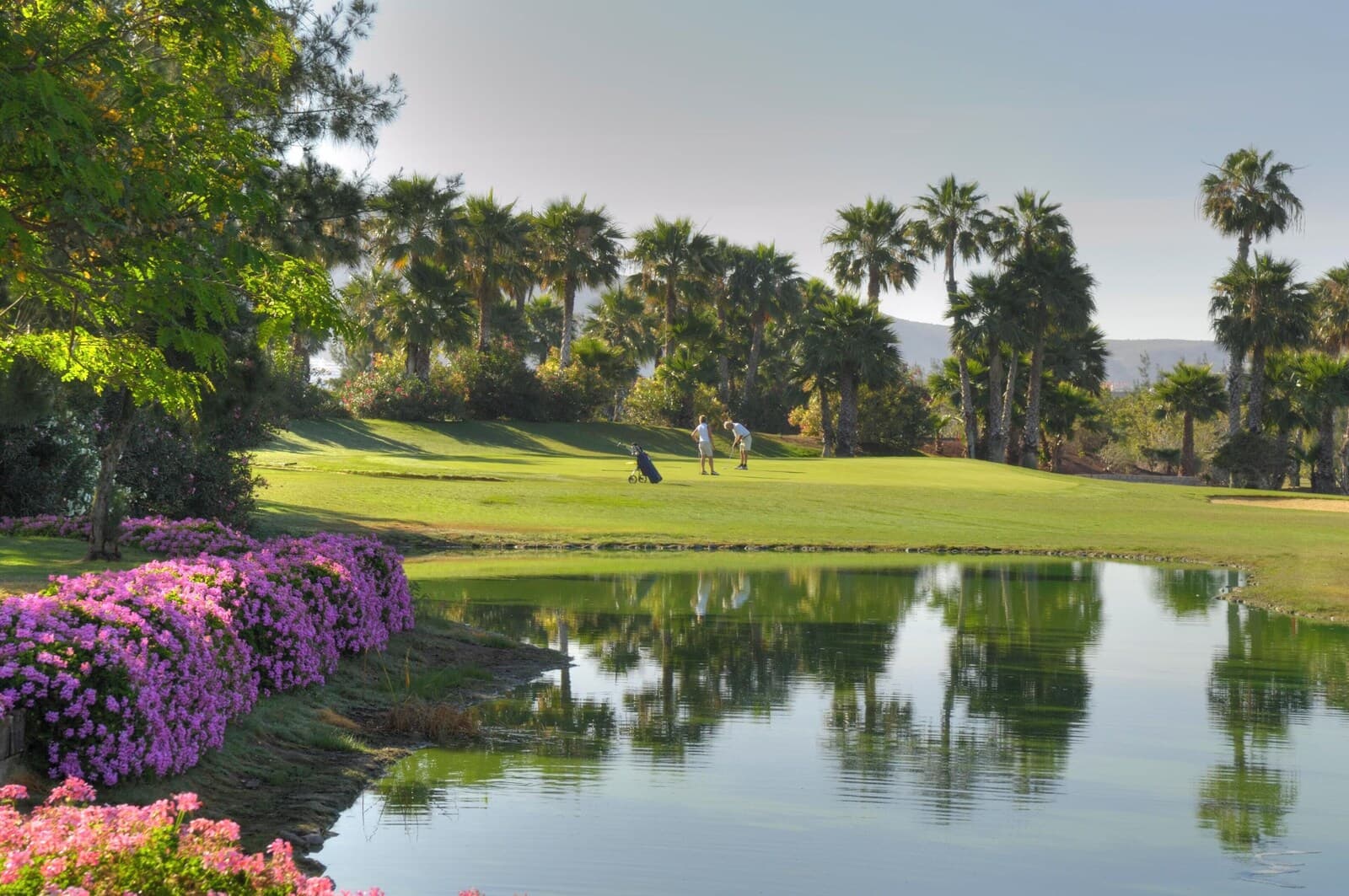 1881 Tenerife Madrigueras Golf Hotel – main photo