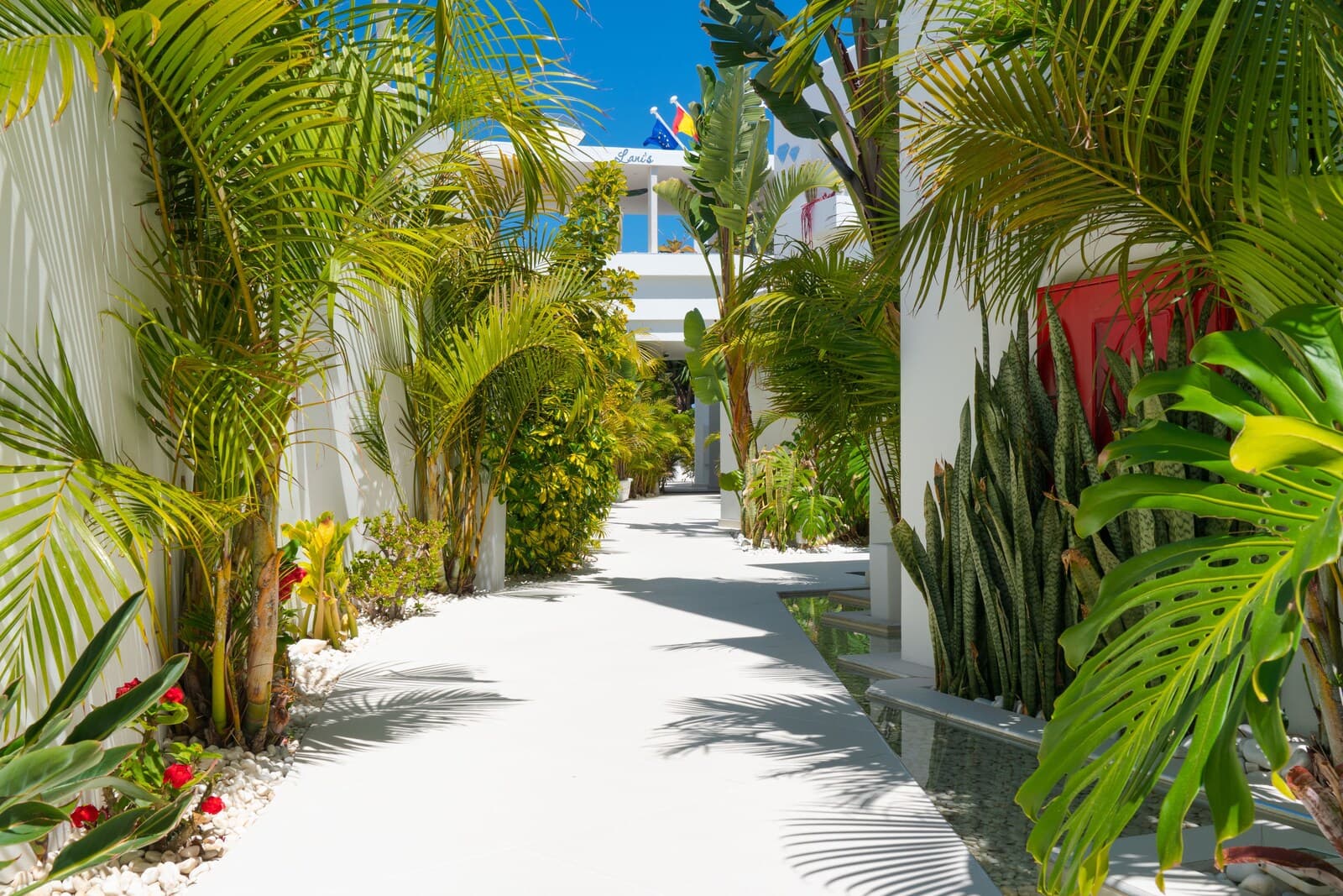 Lani's Suites de Luxe – photo 4