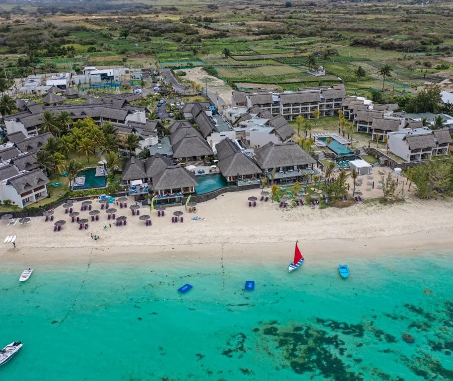 C Mauritius Palmar